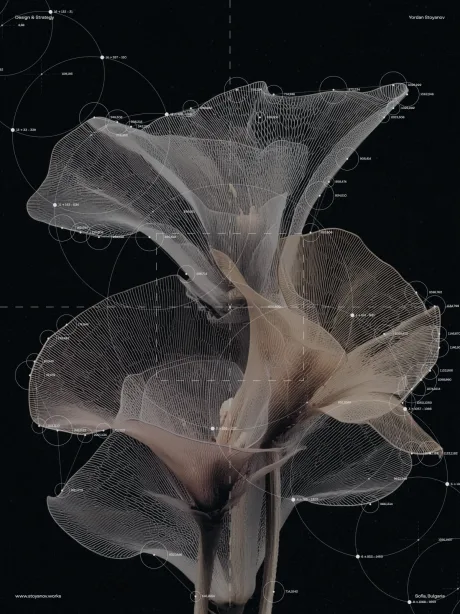 A pale bloom on black, under the same drafting plate of circles and coordinates.