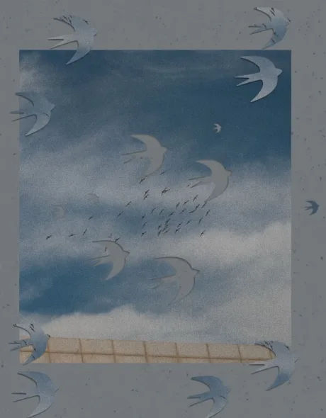 The same swift cut-outs escaping a framed gray sky onto its mount.